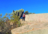 Ovalle2