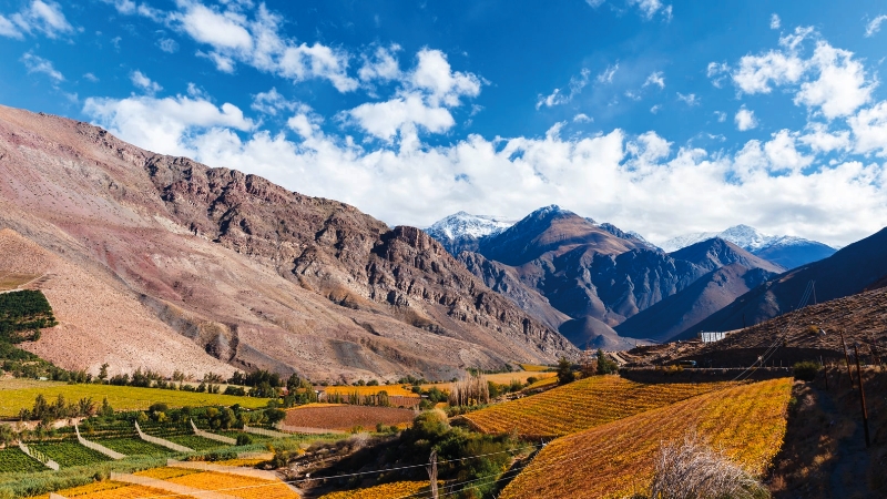 Elqui