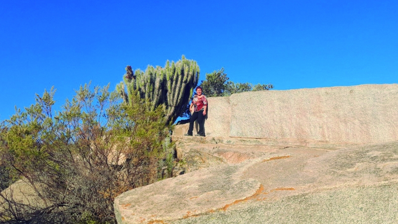 Ovalle2