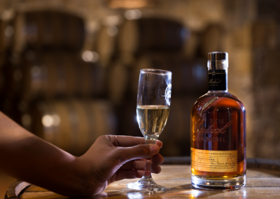 Ruta del Pisco y Enoturismo