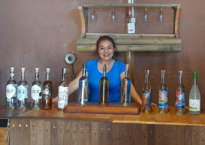 Tours Catación Vino y Pisco